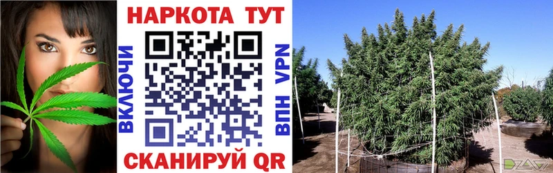 Где можно купить наркотики Москва Галлюциногенные грибы COCAIN Метамфетамин Канабис Меф мяу мяу СК ГАШ АМФЕТАМИН
