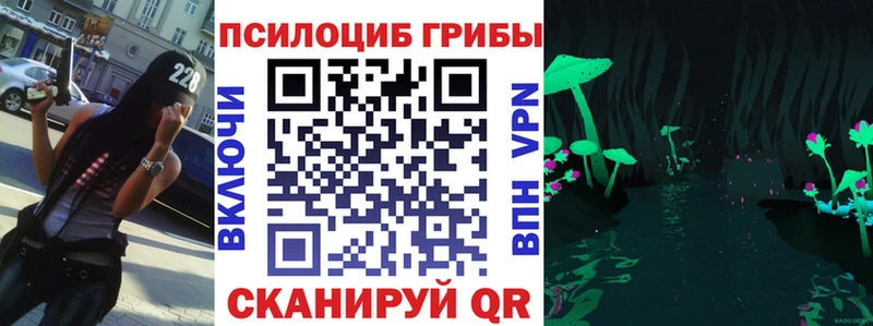 Псилоцибиновые грибы MAGIC MUSHROOMS  дарнет шоп  Москва 